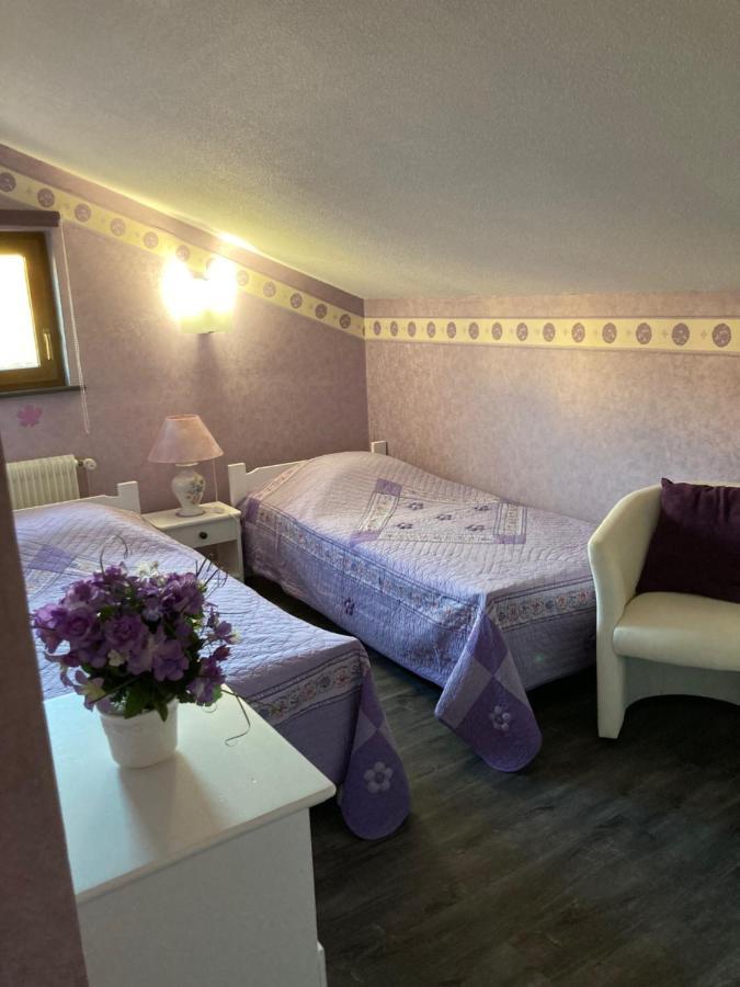 Gite De La Streng Ribeauvillé Buitenkant foto