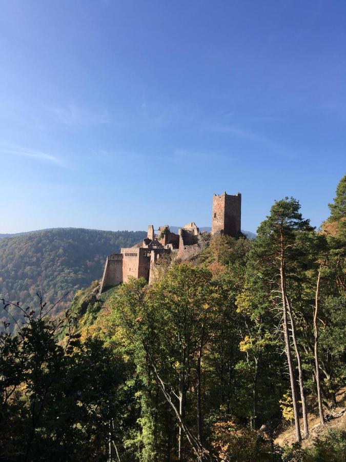 Gite De La Streng Villa Ribeauvillé Buitenkant foto