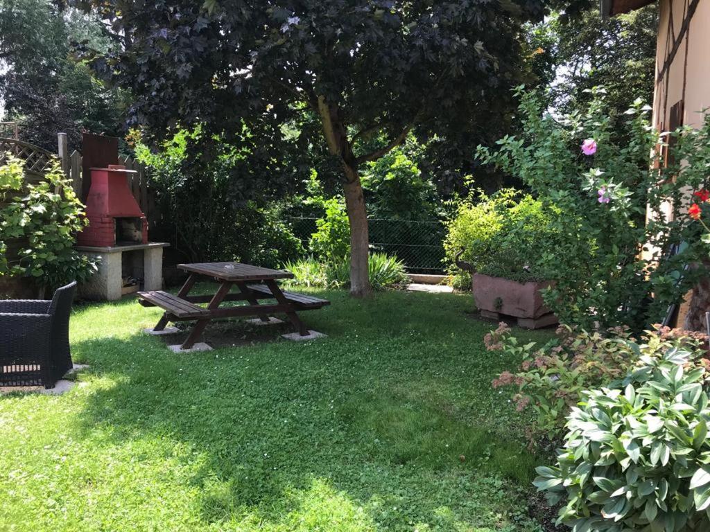 Gite De La Streng Ribeauvillé Buitenkant foto