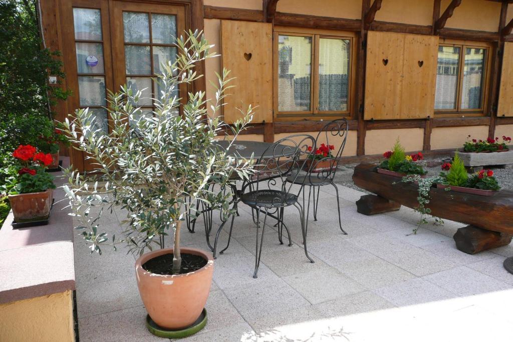 Gite De La Streng Ribeauvillé Kamer foto